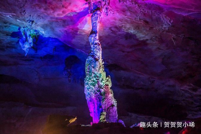 逗小猴开心系列180