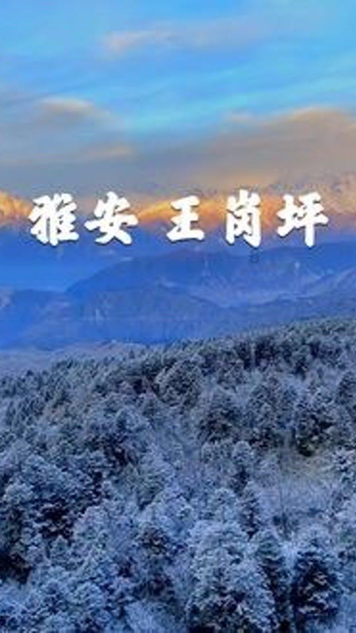 芭比娃娃的服装