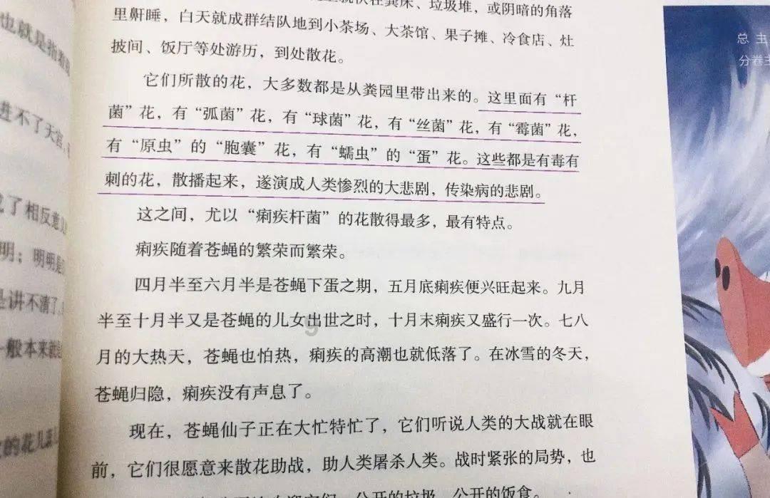 伴娘的任务