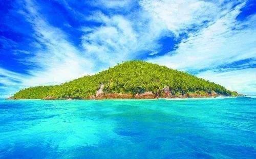 怎样防治月季花出现黄叶？游戏画面