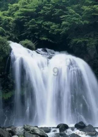 呼吸道传染病高发是在还“免疫债”?