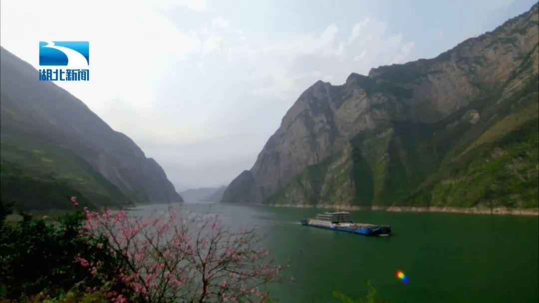 古墓丽影9