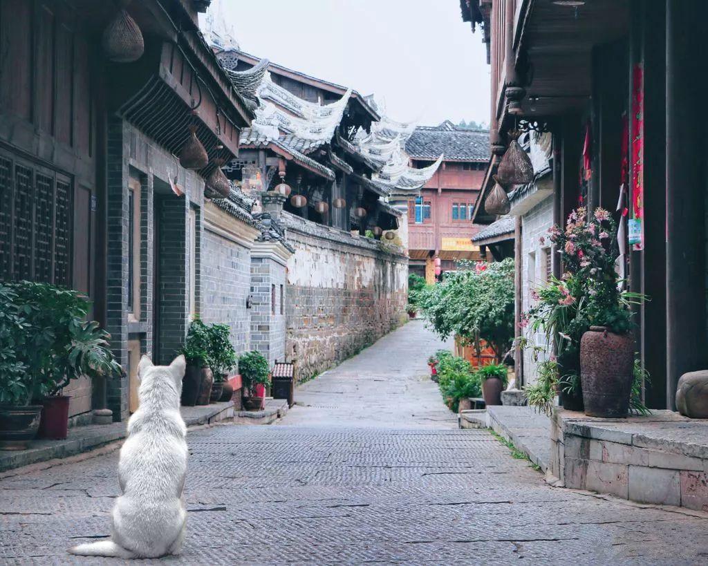 芬威想给球队拍纪录片，但克洛普此前明确拒绝